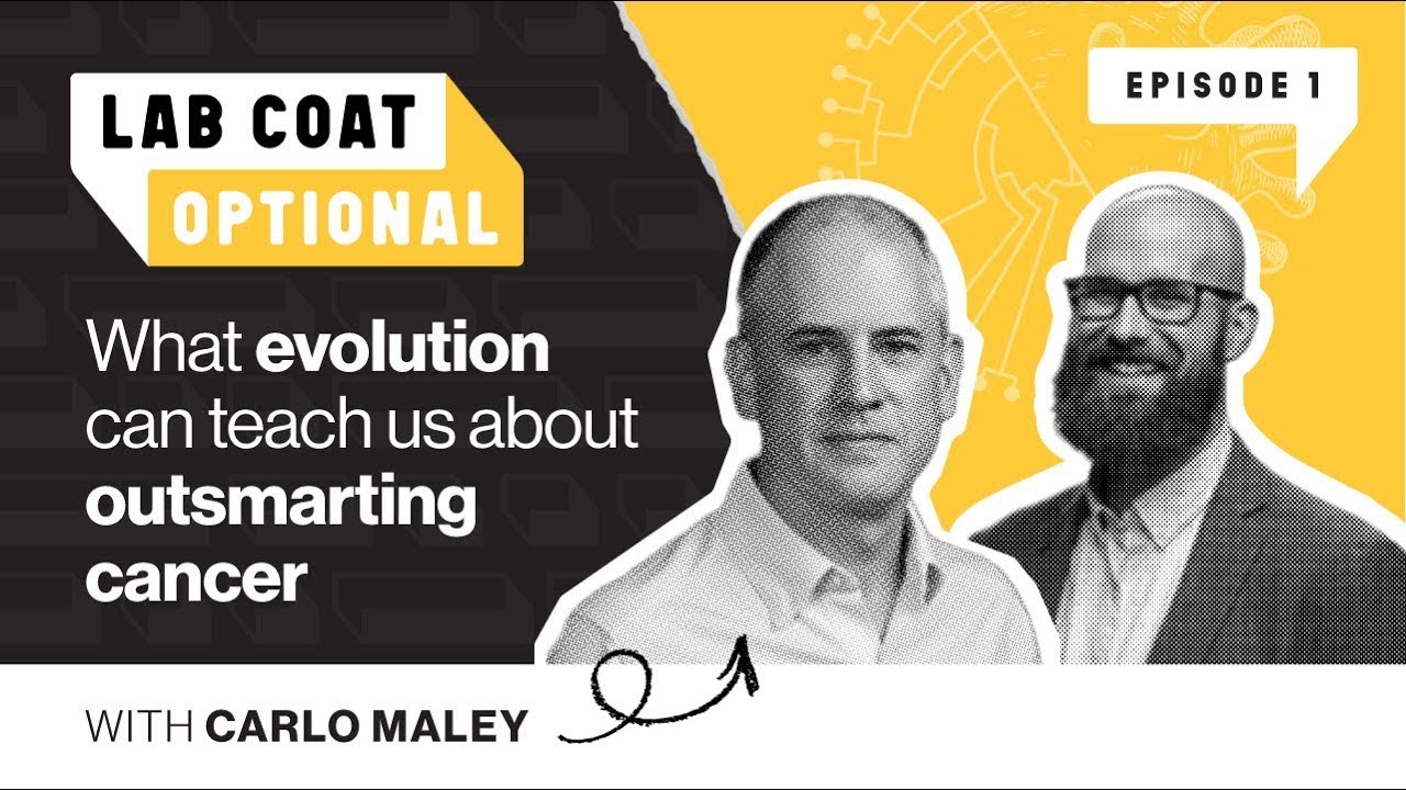 What evolution can teach us about outsmarting cancer, with Carlo Maley