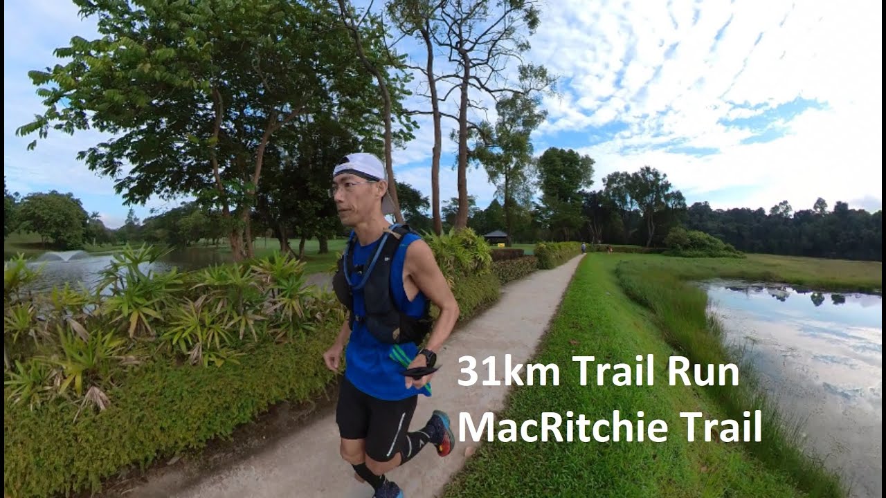 31km Trail Run | MacRitchie Trail