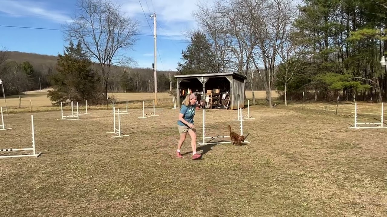 Ari 2/13/26, Elite Jumpers 1, Heart 