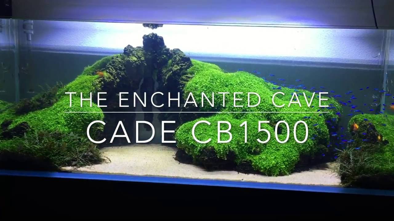 The Enchanted Cave
