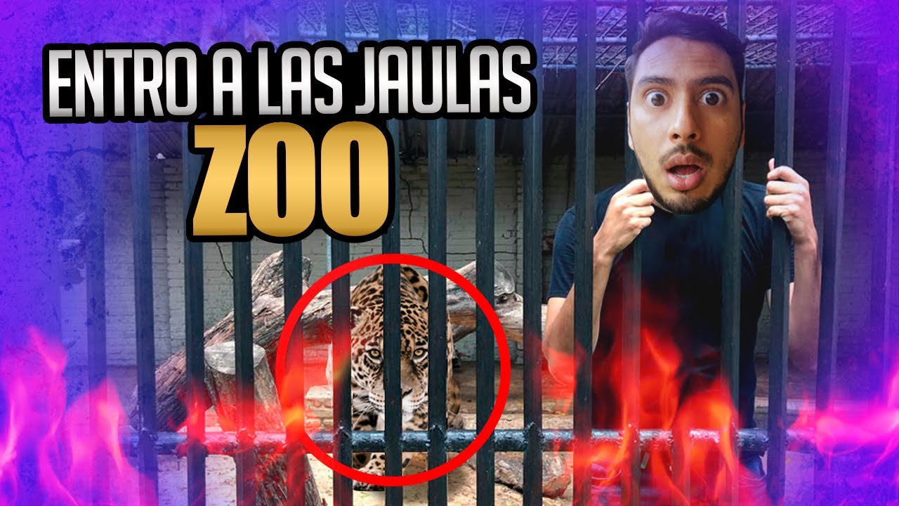 🐆La otra cara del ZOO  | BOLIVIA 🇧🇴