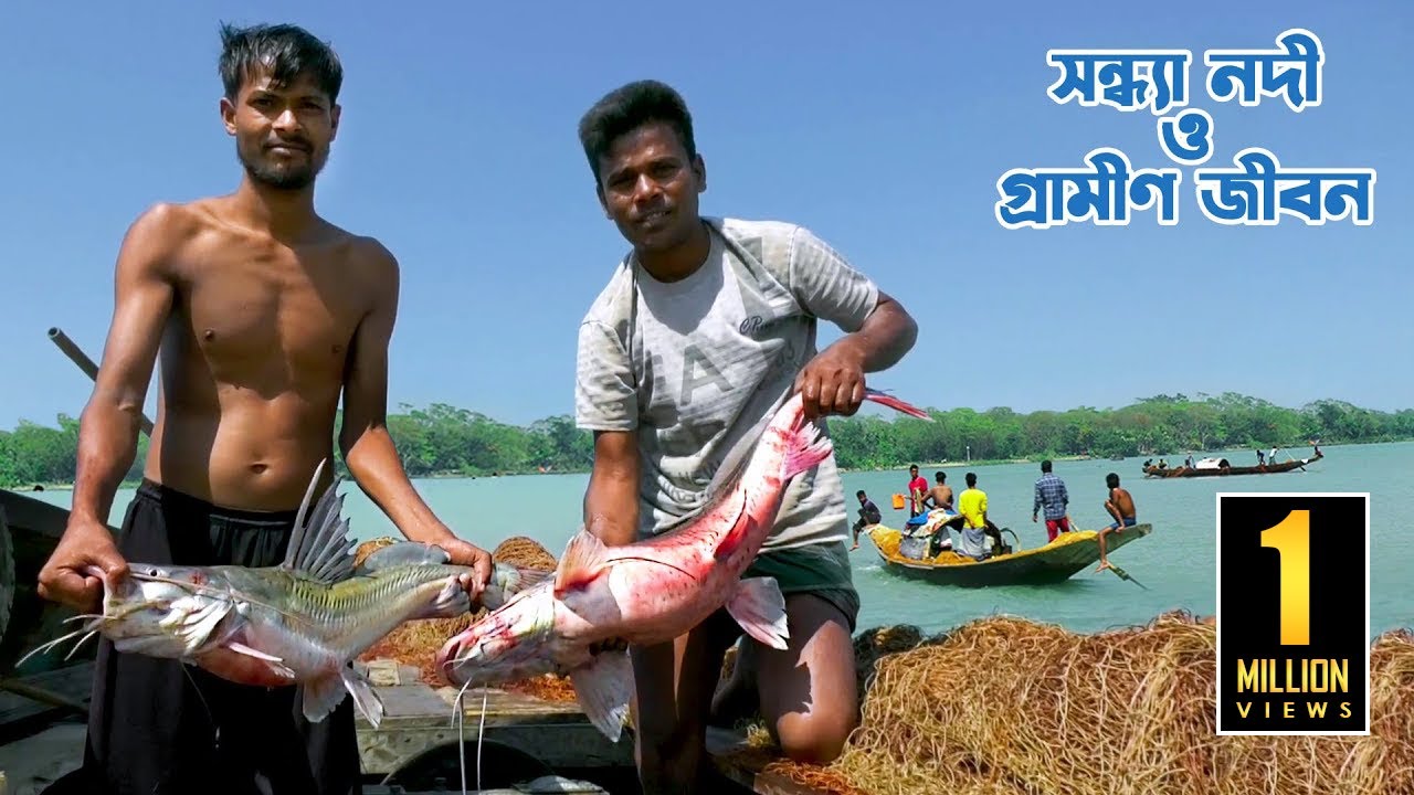 বরিশালের কর্মব্যস্ত সন্ধ্যা নদী ও নদীপাড়ের গ্রামীণ জীবন || Panorama Documentary