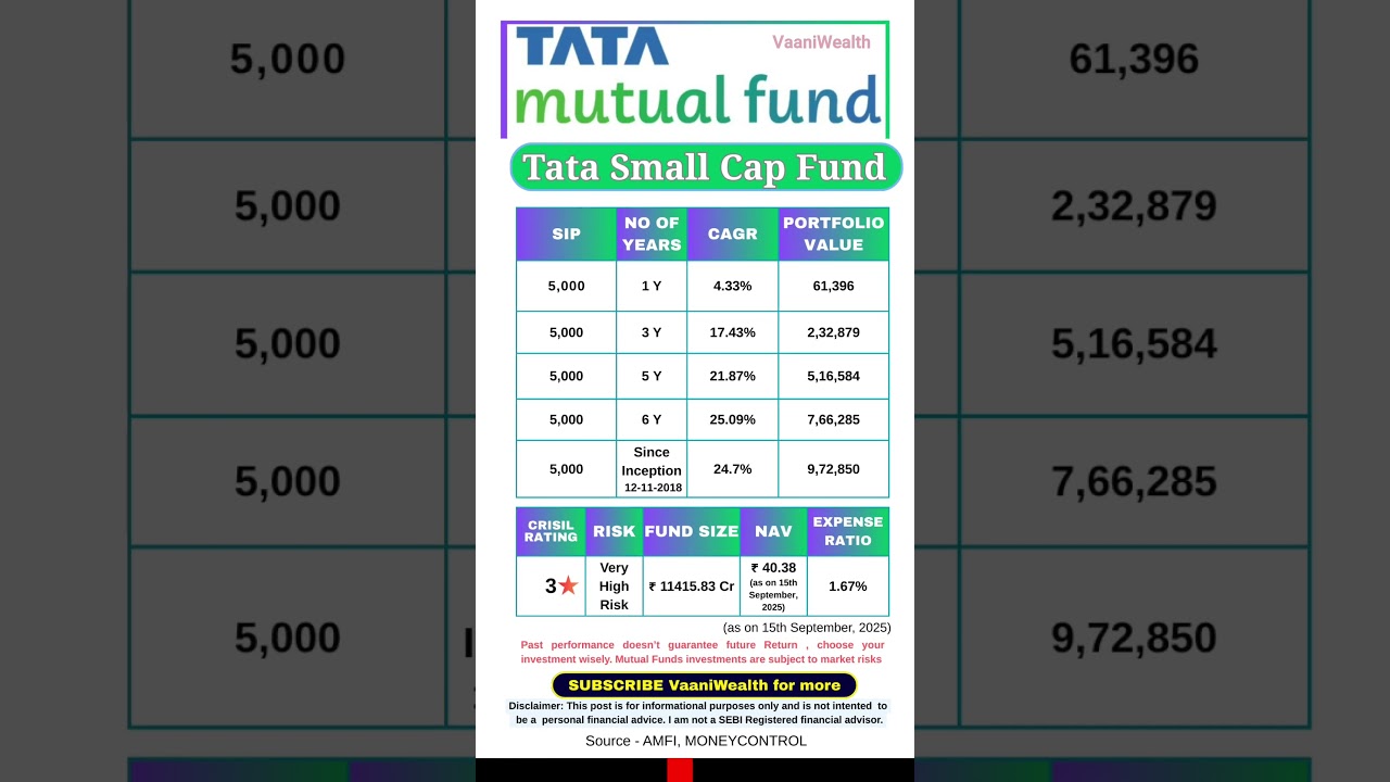 TATA Small Cap Fund to invest in 2025 | Highest CAGR in 3Y, 5Y #investment #mutualfund #stockmarket