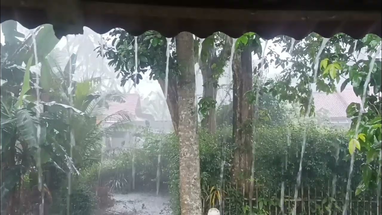 ASMR rain sounds to relax