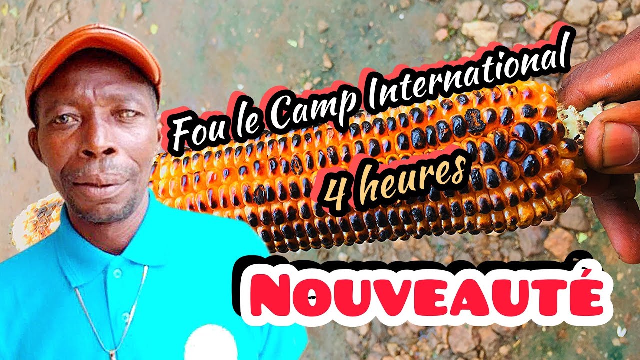 Fou Le Camp International: 4h new single