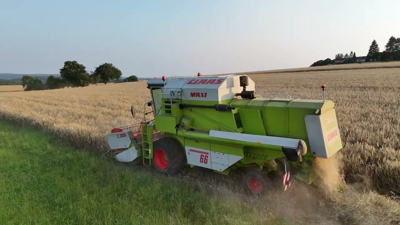 #CLAAS Dominator 66 #Ernte 2025 #DJI MINI 4 PRO #Landwirtschaft #farmingsimulator25  #farmlife