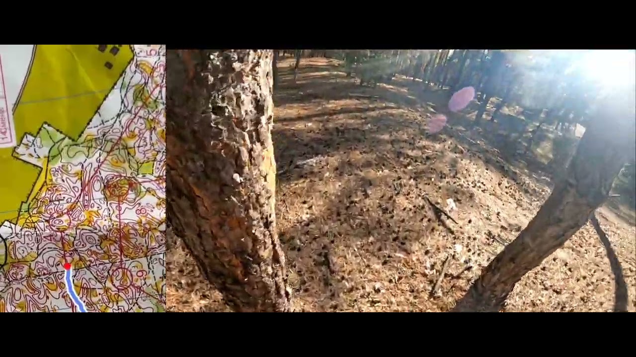 Orienteering 