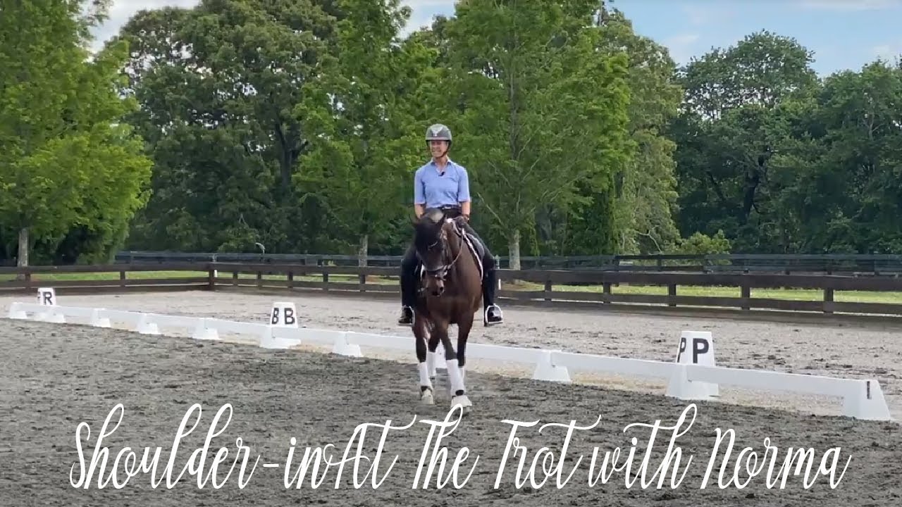 Shoulder in At The Trot with Norma