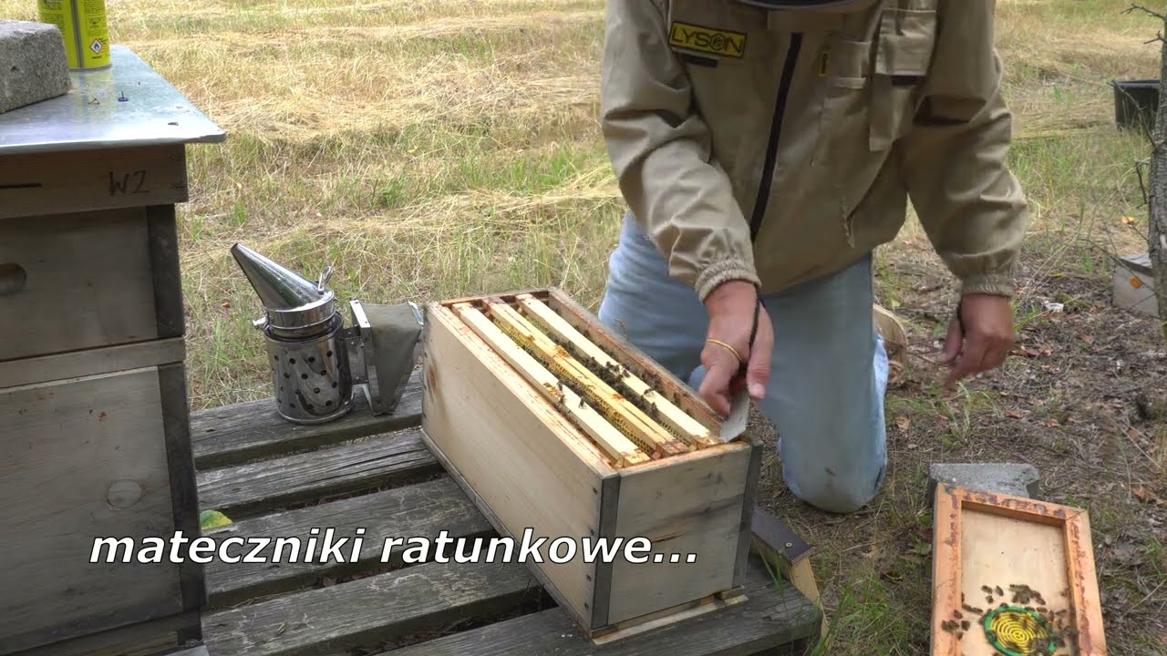 Odkład jednoramkowy, bezobsługowy ul do wielokrotnego UN matek