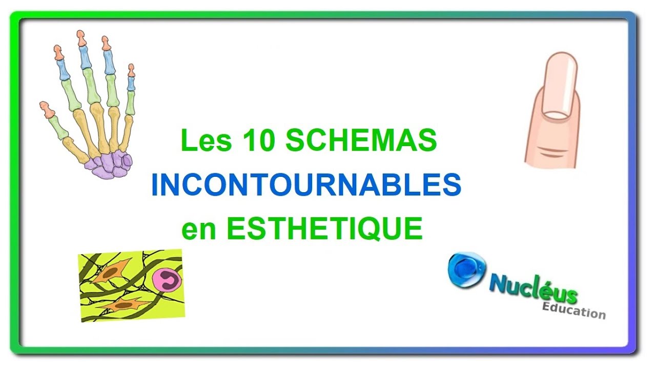 Les 10 schémas incontournables en CAP esthétique