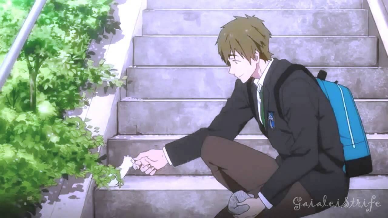 Sexy Free! and Single (Free! AMV)