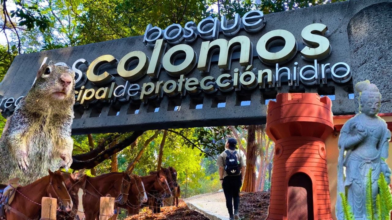BOSQUE COLOMOS | Uno de los pulmones de la Zona Metropolitana de Guadalajara.