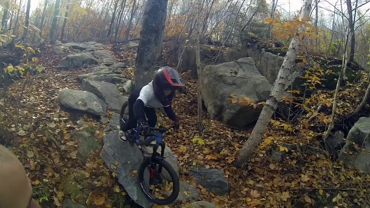 Norco Fluid 20