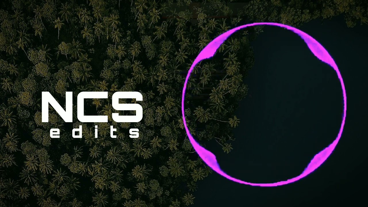 Melhores NCS | Debris & RudeLies - Animal | Slowed Version