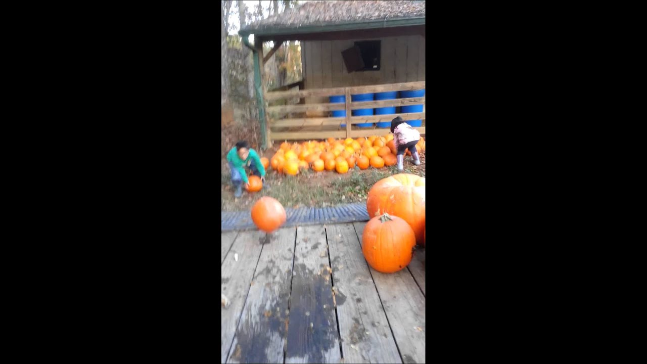 Unloading Pumpkins