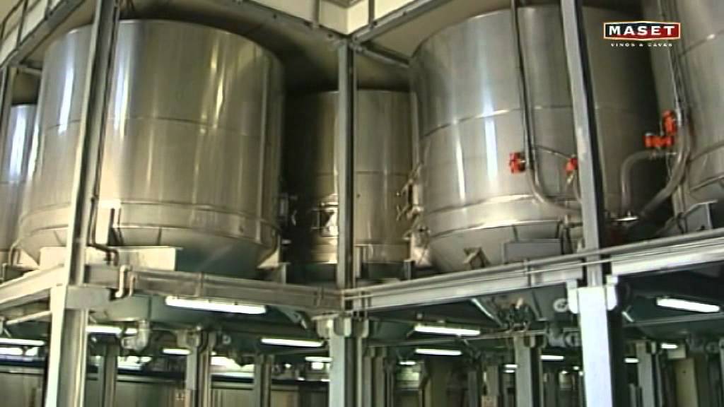 8 - La vinificación del vino tinto