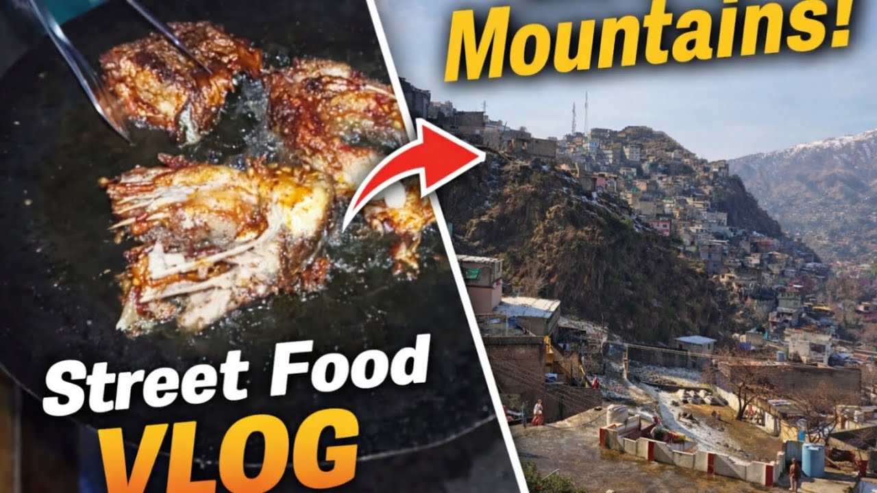 Fish Fry Recipe | How To Make Fish Fry | Street Food Vlog | mountain Cooking | cooking video 