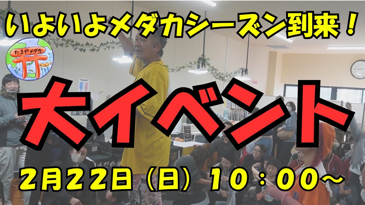 たまやメダカ　さくらモール店　３周年感謝祭