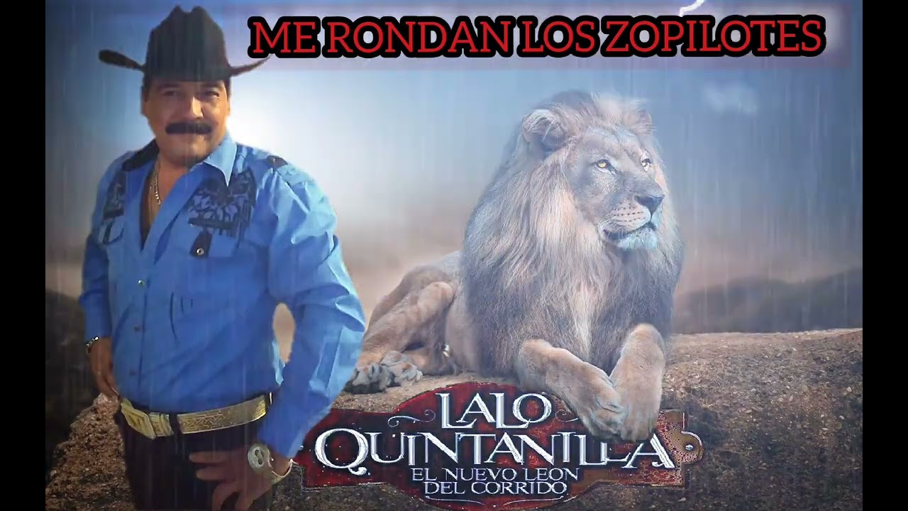 LALO QUINTANILLA ME RONDAN LOS ZOPILOTES