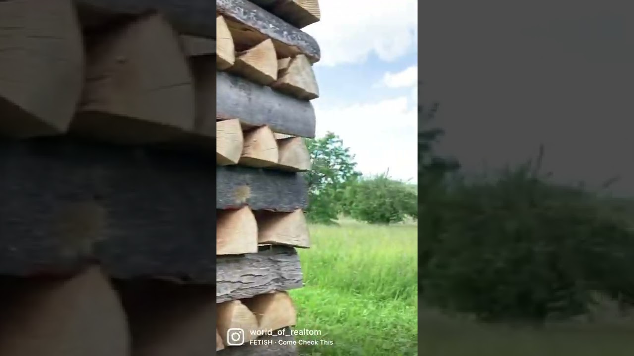Holzstapel im Ermstal