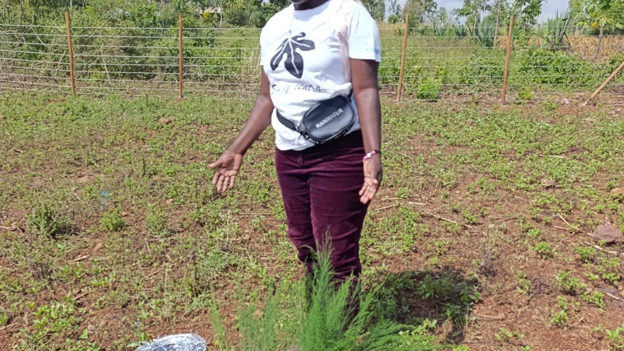 TREE PLANTATION DAY!!! 🌲🪵