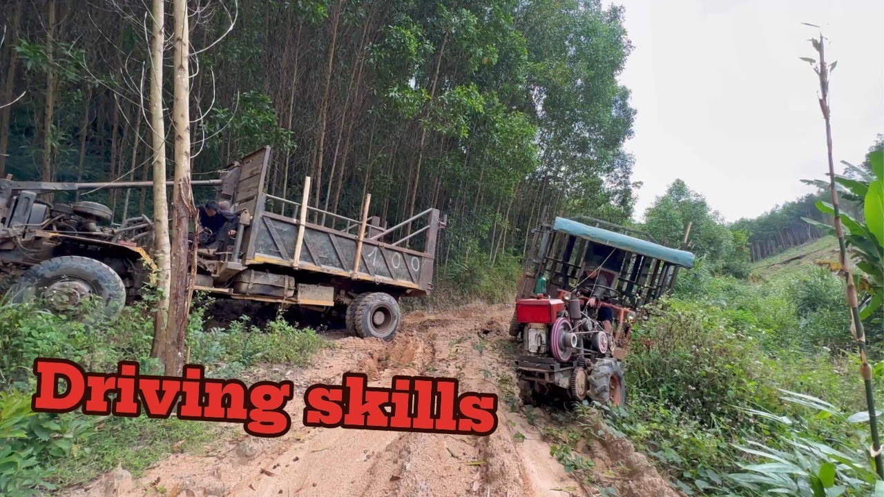 Logging driving skills are extremely dangerous. - Wood truck