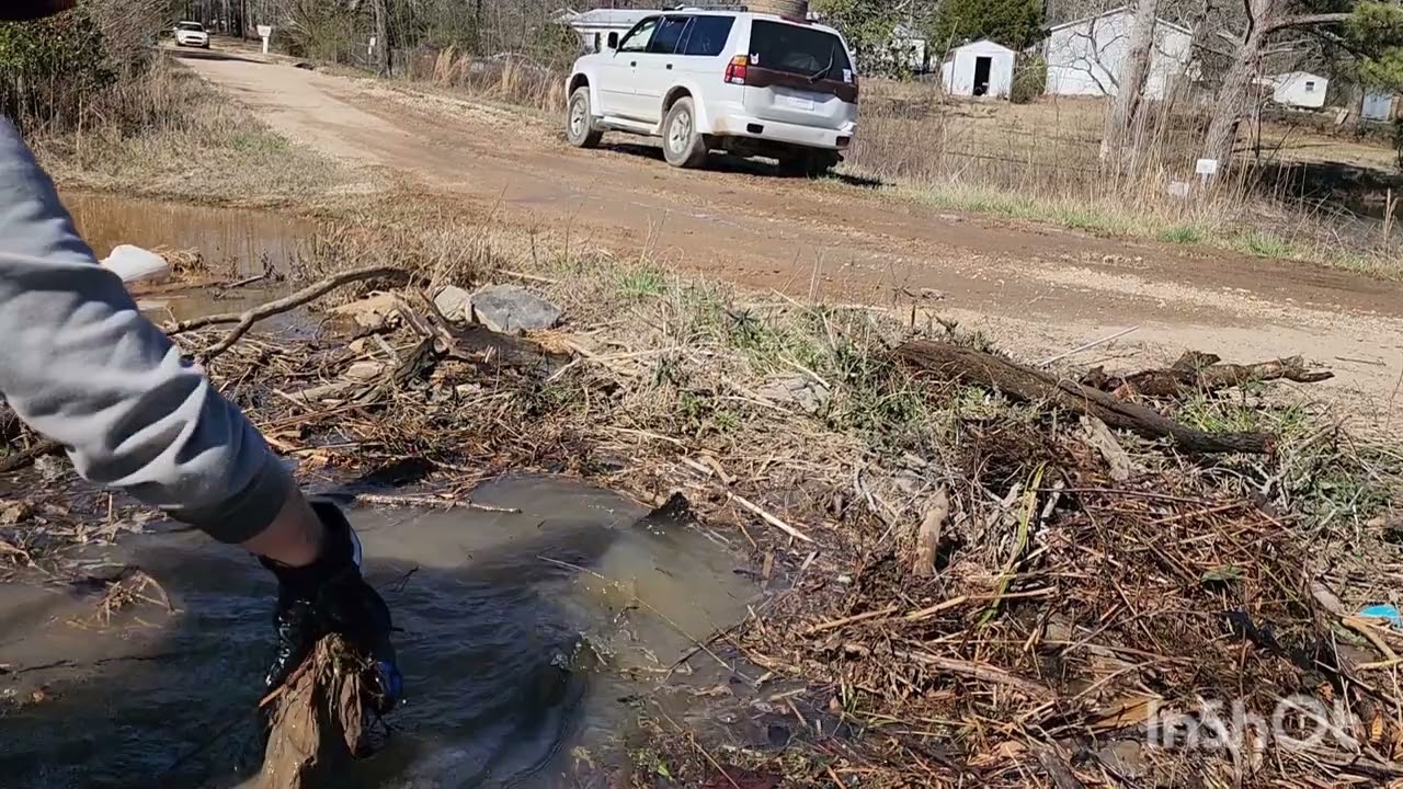 Beavers clogging up Big Lake Nola the exit drain pipe.