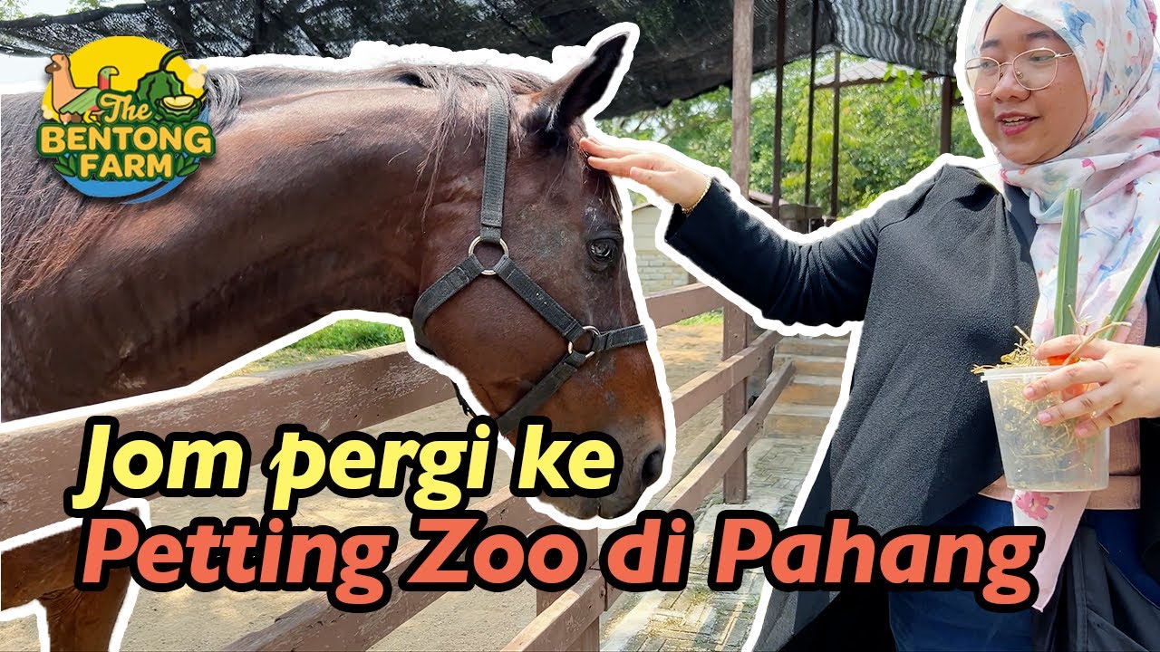 Petting Zoo di Bentong, Pahang (Bentong Farm) - Vlog