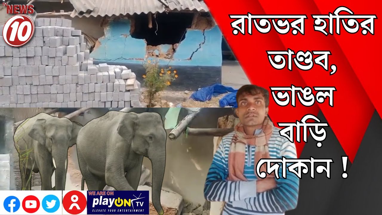 রাতভর হাতির তাণ্ডব, ভাঙল বাড়ি-দোকান ! || ঝাড়গ্রাম