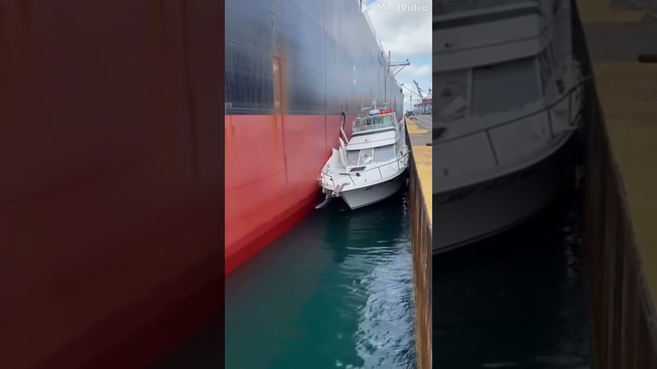 Oil Tanker CRUSHES Yacht at Busy Port &mdash; Shocking Real Time Accident! 😱🚢💥