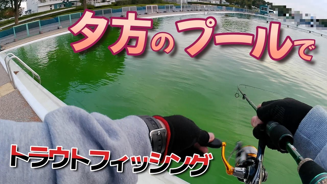 夕方の川越水上公園