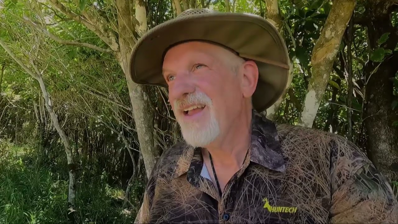 Te Araroa. Day 83-Camp Bay Campsite to Mistletoe Bay Eco Campsite