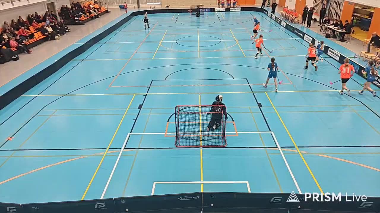 T14 SB vaasa musta - Bluefox