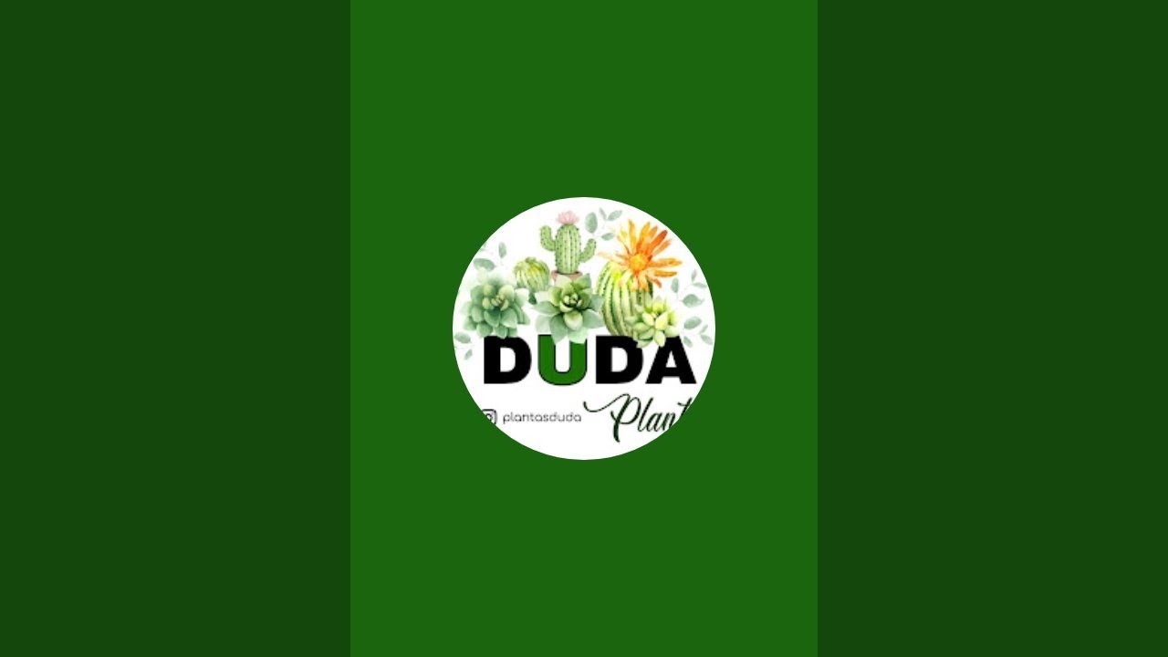 Duda Plantas Joinville está ao vivo!