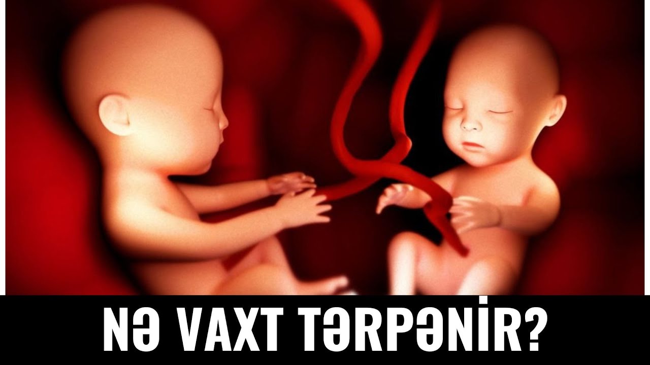 Hamiləlikdə Döl Nə Vaxt Hərəkət Edir?