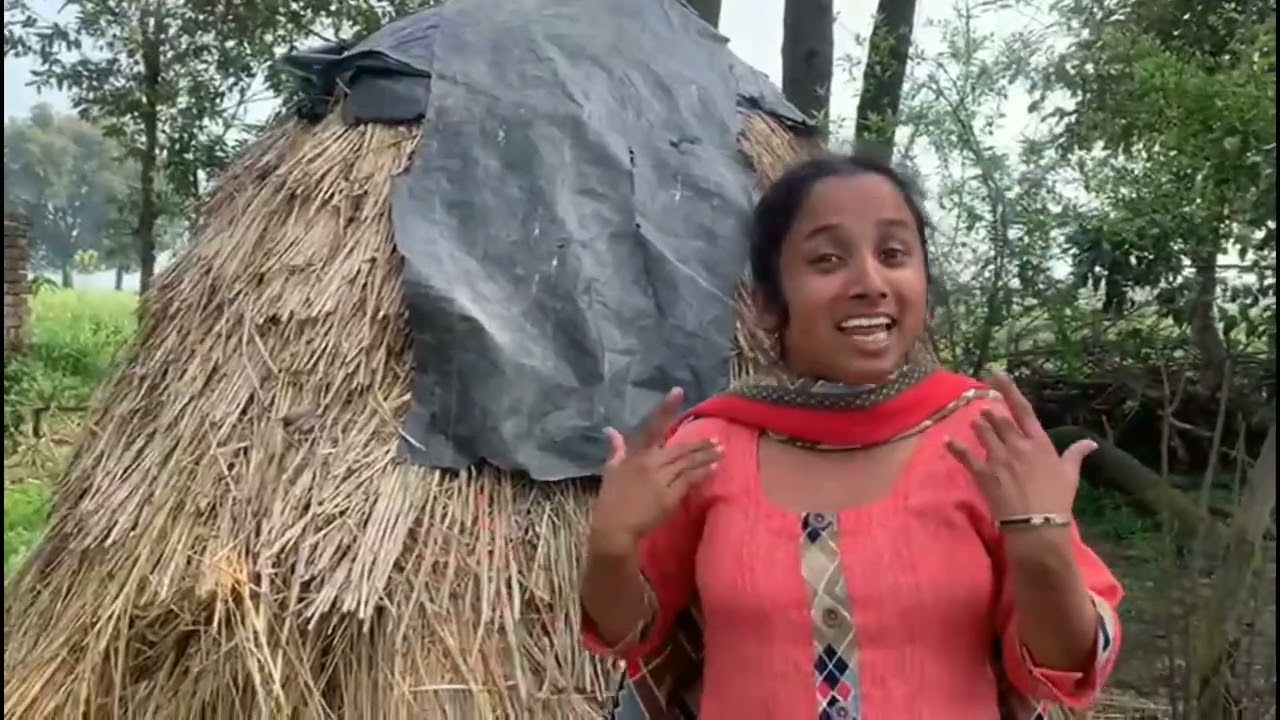 ਫਸਲਾਂ ਦੀ ਹਰਿਆਲੀ ਲੱਡੂ ਕਿਉਂ🤔🤔