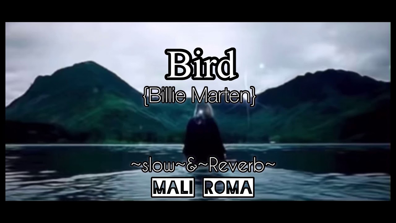 Bird- Billie Marten {~slow~&~reverb~}