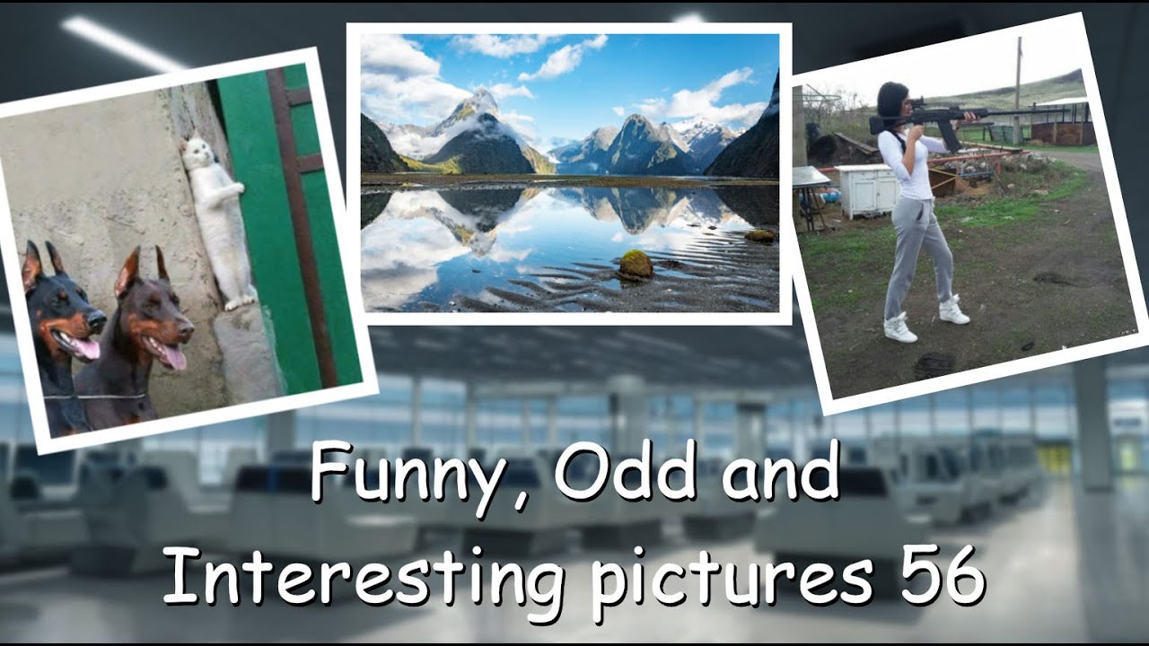 Funny, Odd, Interesting Pictures Video 56