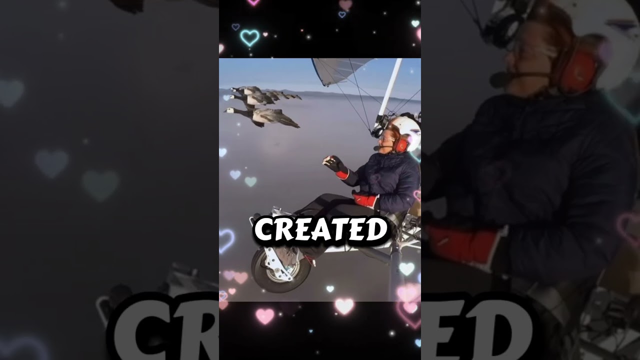 We are free 
