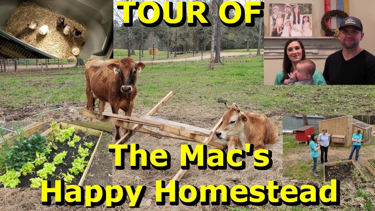 Visiting The Mac's Happy Homestead With Alderman Farms And Bandana Grandma! | Pratt Family Homestead