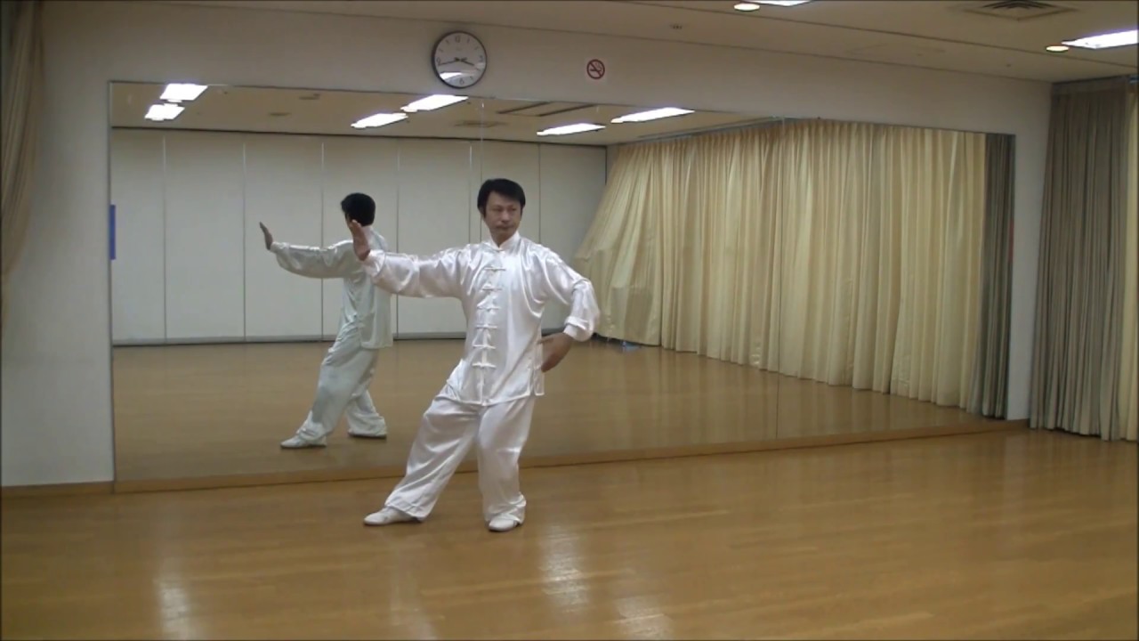 太極拳　４８式太極拳【鏡】２段（８〜１３）解説誘導　48forms tai chi chuan　Group2　竹内太極拳　竹内健二