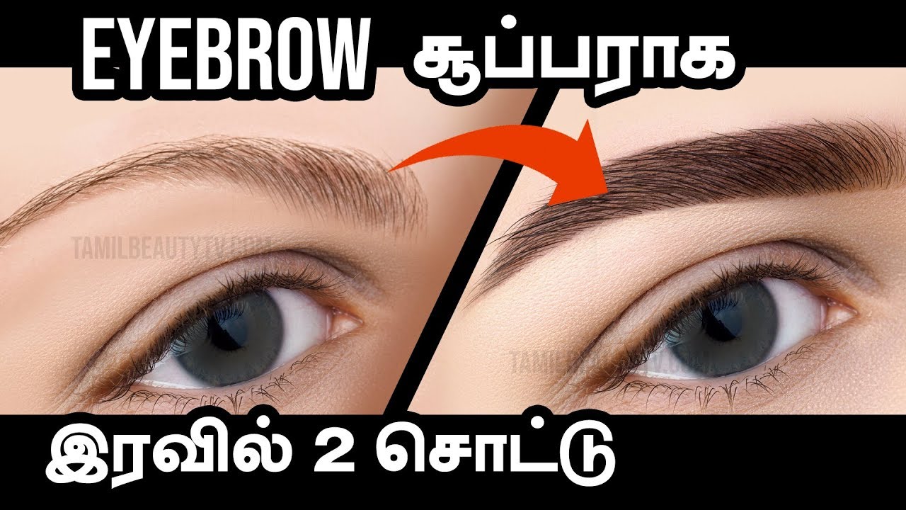 Natural Ways to Grow Thick Eyebrows - Tamil Beauty Tv
