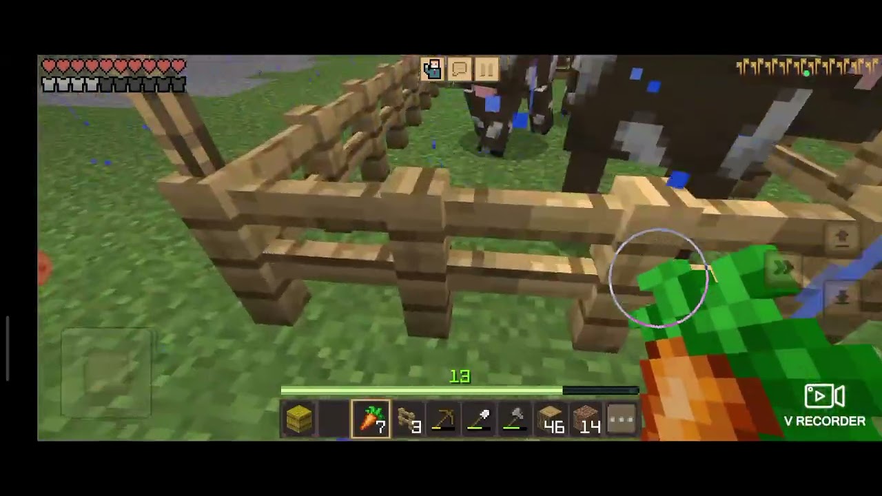 الحلقة #3 من سلسلة ماين كرافت ♥️♥️ بناء حضيرة الارانب 🐇🐇🐇