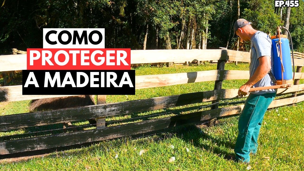 COMO PROTEGER AS MADEIRAS ESTACAS /PALANQUES  NO SEU SÍTIO,GASTANDO POUCO. EP 455