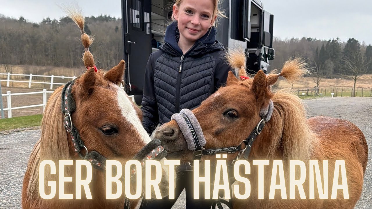 Ger bort h&auml;starna, vad h&auml;nder nu? - VLOGG 