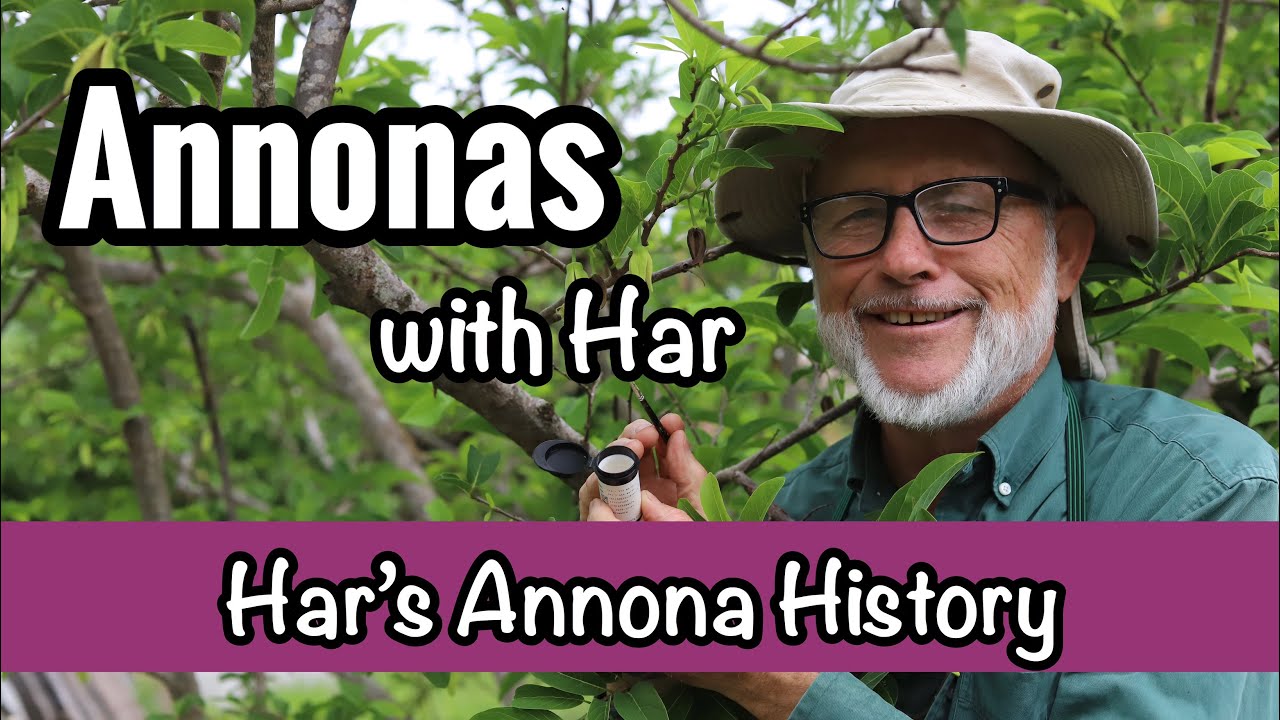 Annonas with Har | Har's History with Annonas