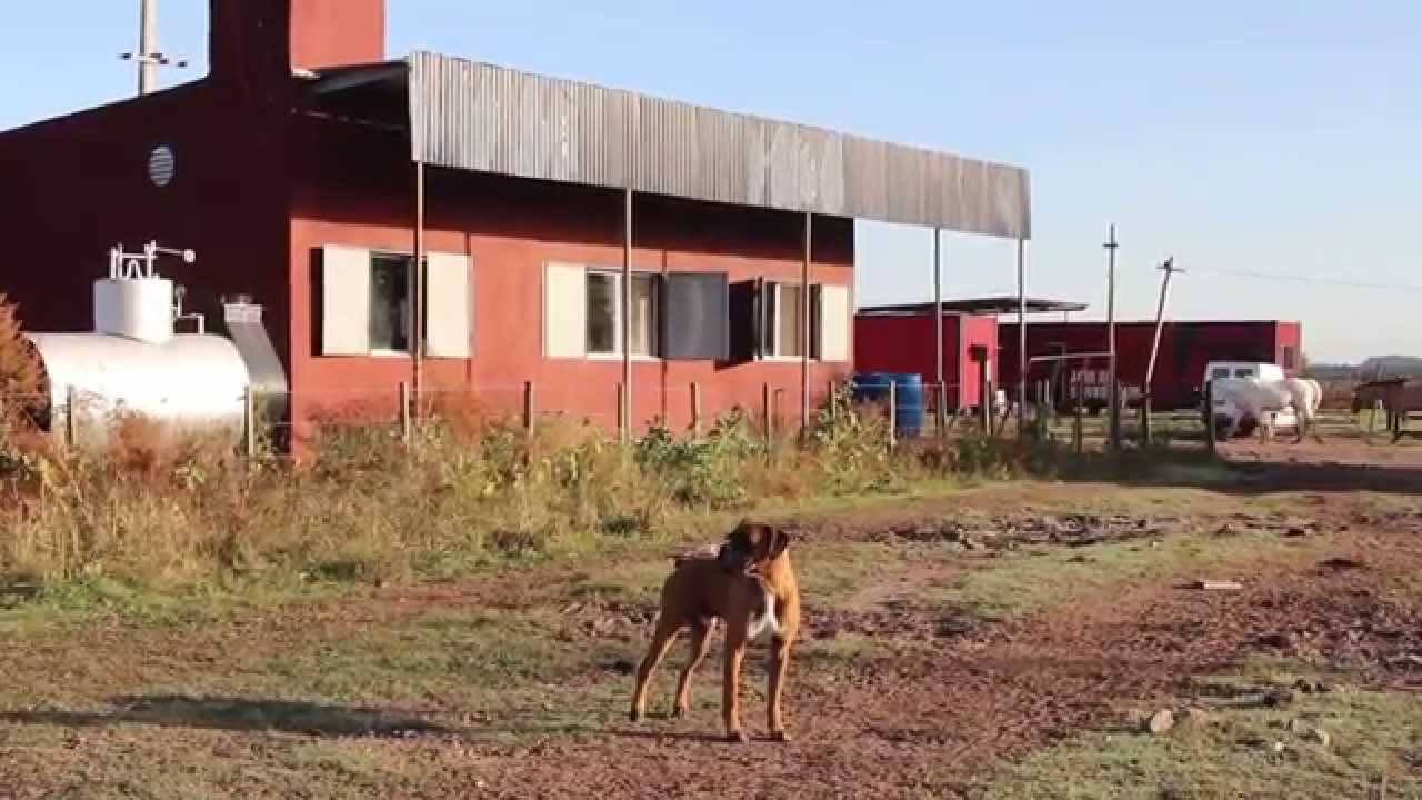 Ciudad Futura - Tambo La Resistencia