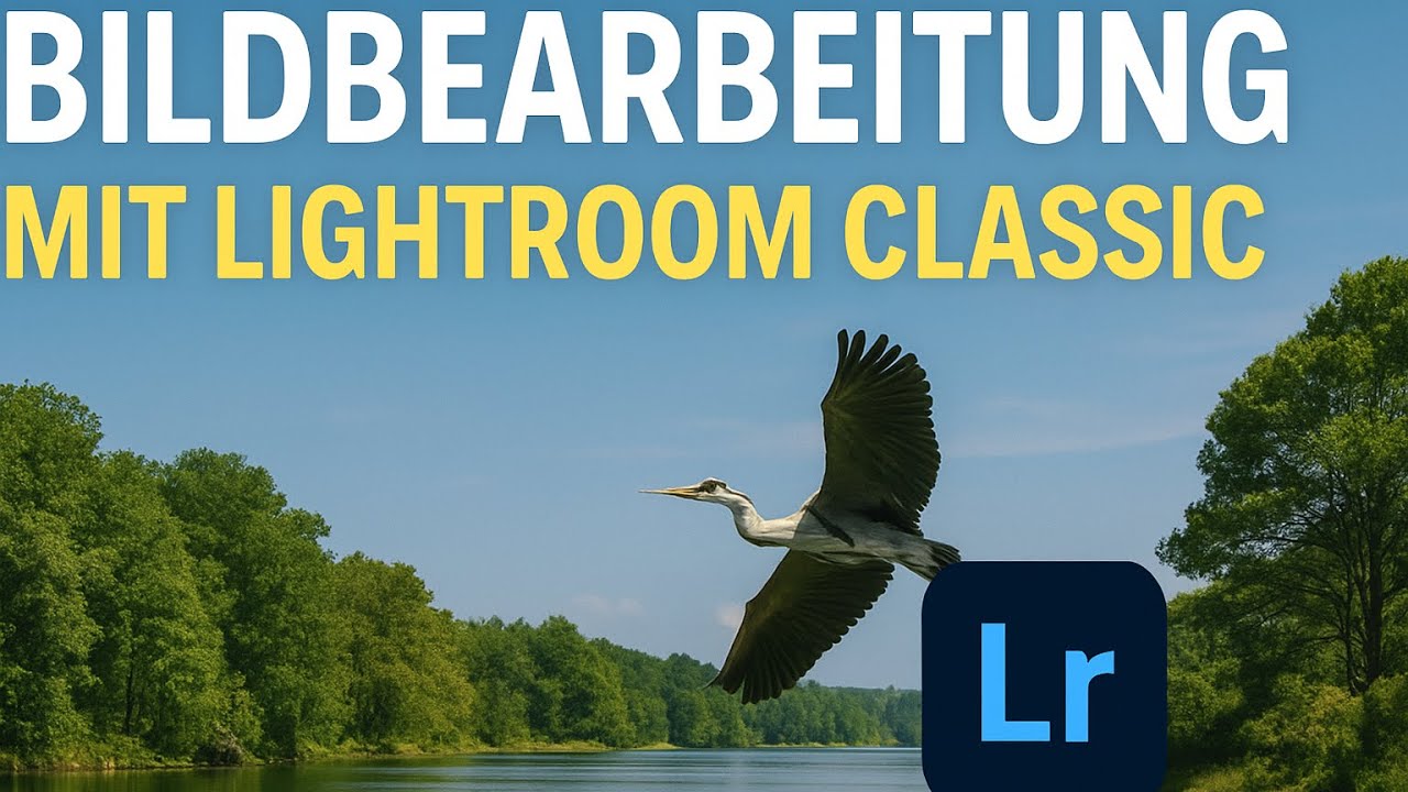 Mein Bearbeitungs-Workflow in Lightroom Classic – Natur & Wildlife