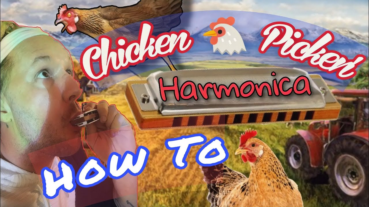 Fast Chicken 🐓 Picking Harmonica Lesson