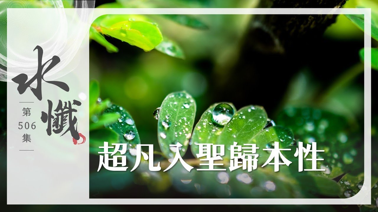 【法譬如水】 超凡入聖歸本性 - 第506集｜水懺｜慈悲三昧水懺｜ 20260129